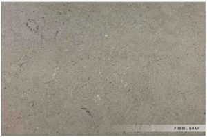 FOSSIL GRAY