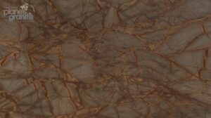 Rain Forest Brown Marble
