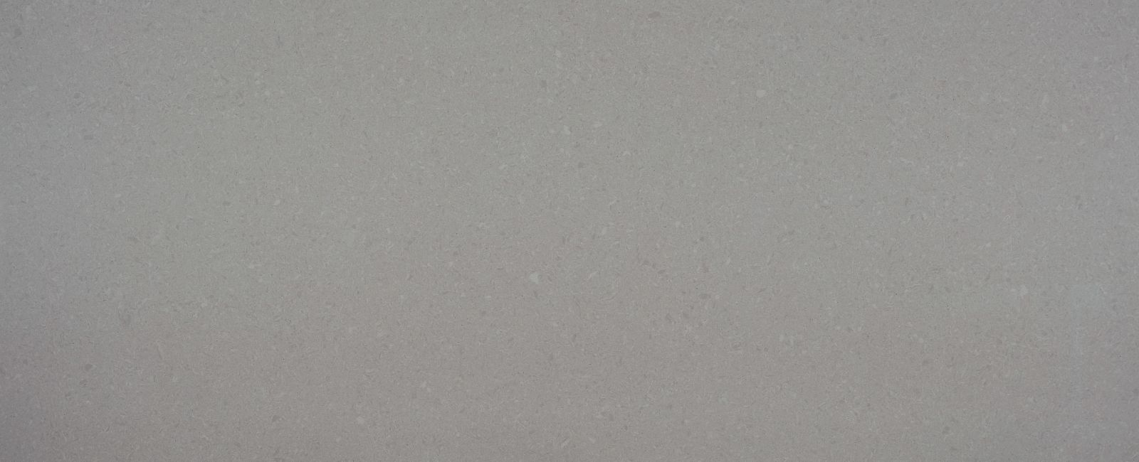 CONCRETE GREY HONED - DELLA TERRA